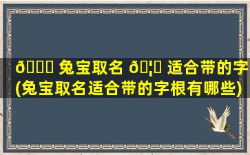 🍁 兔宝取名 🦉 适合带的字根(兔宝取名适合带的字根有哪些)